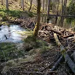 Na Kaszubach, Borowy Mlyn, Jezioro Gwiazda, Sauna, 2 Сasa de vacaciones