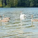 Na Kaszubach, Borowy Mlyn, Jezioro Gwiazda, Sauna, 2 Сasa de vacaciones Borowy Mlyn