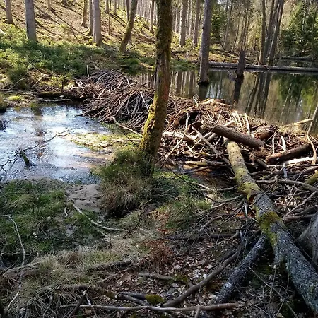 Na Kaszubach, Borowy Mlyn, Jezioro Gwiazda, Sauna, 2 Vakantiehuis