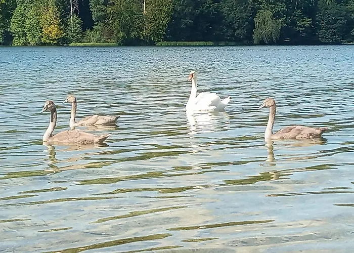 Na Kaszubach, Borowy Mlyn, Jezioro Gwiazda, Sauna, 2 Semesterbostad Borowy Mlyn